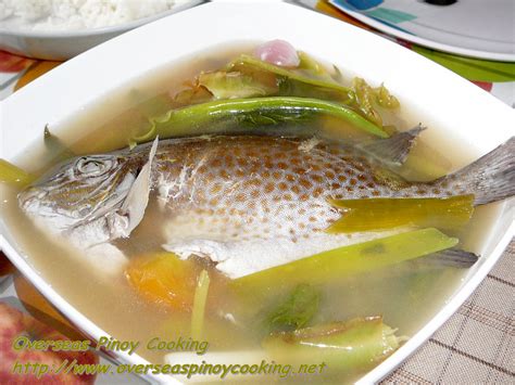 samaral fish|Sinigang na Samaral .